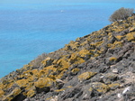 27997 Blue water and yellow lichen.jpg